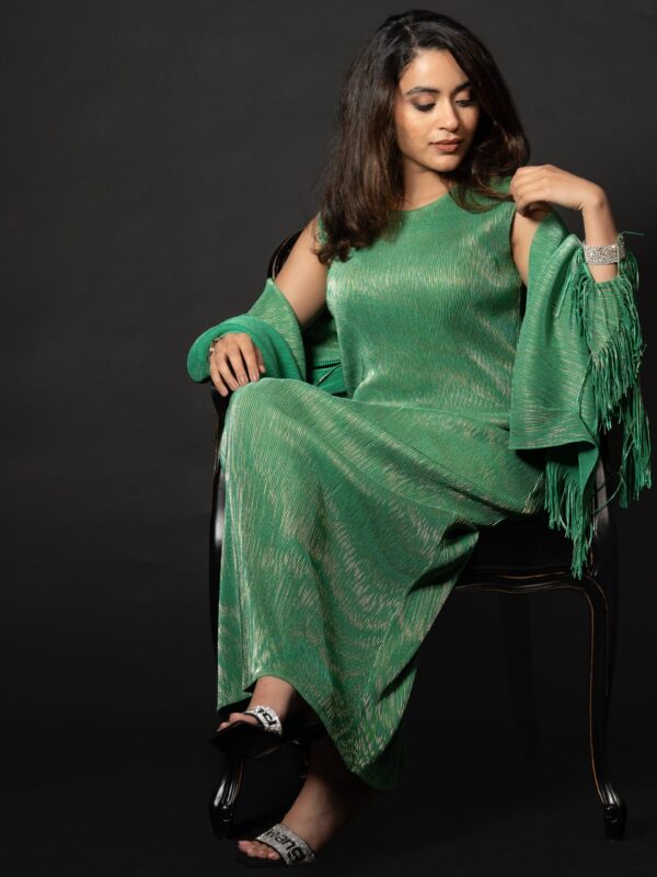 Ahana Regal Dress with Shawl(3)-min