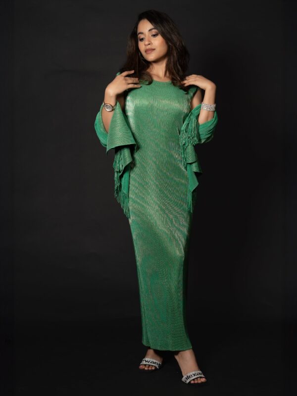 Ahana Regal Dress with Shawl(5)-min