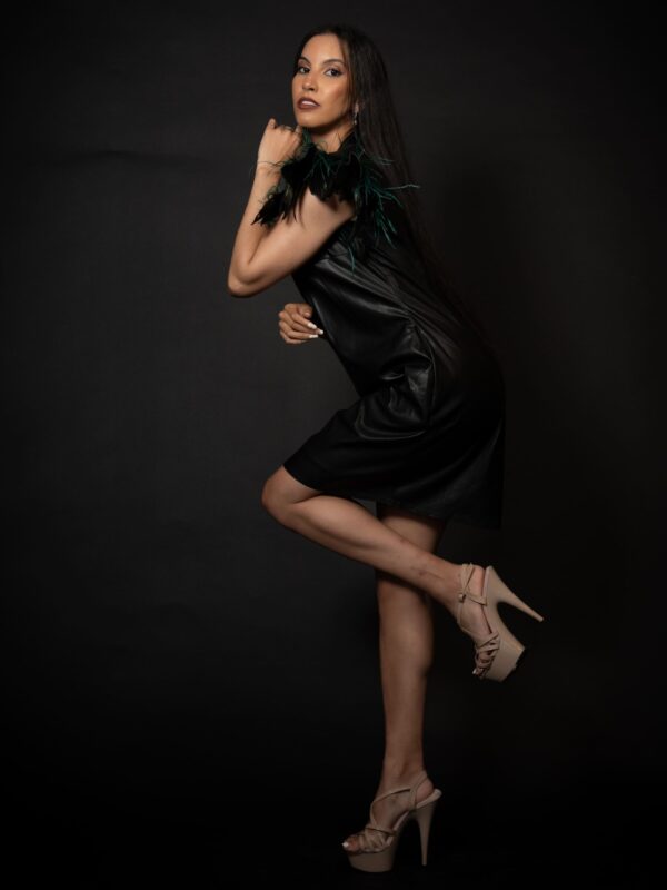 Aviary Feather Dress(1)