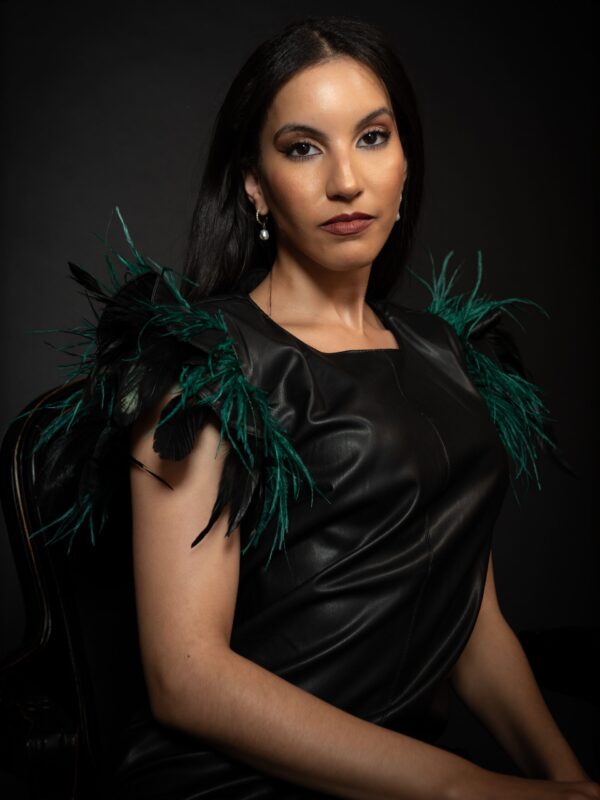 Aviary Feather Dress(2)