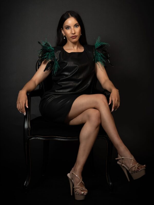 Aviary Feather Dress(3)