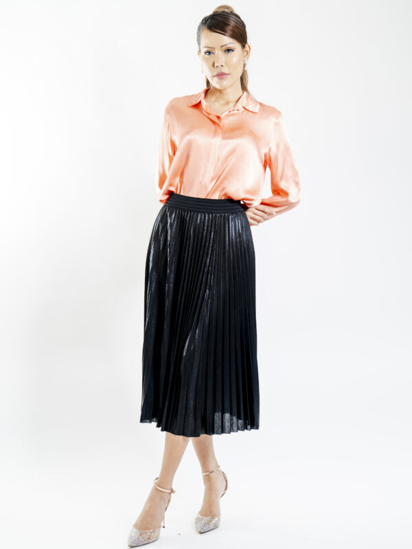 Black Shiny Pleated Skirt