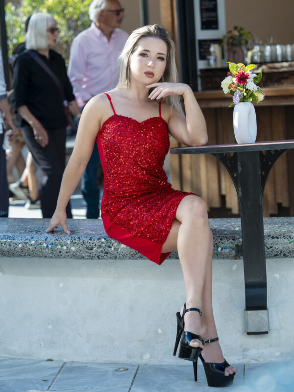 Sequin Star Dress(10)