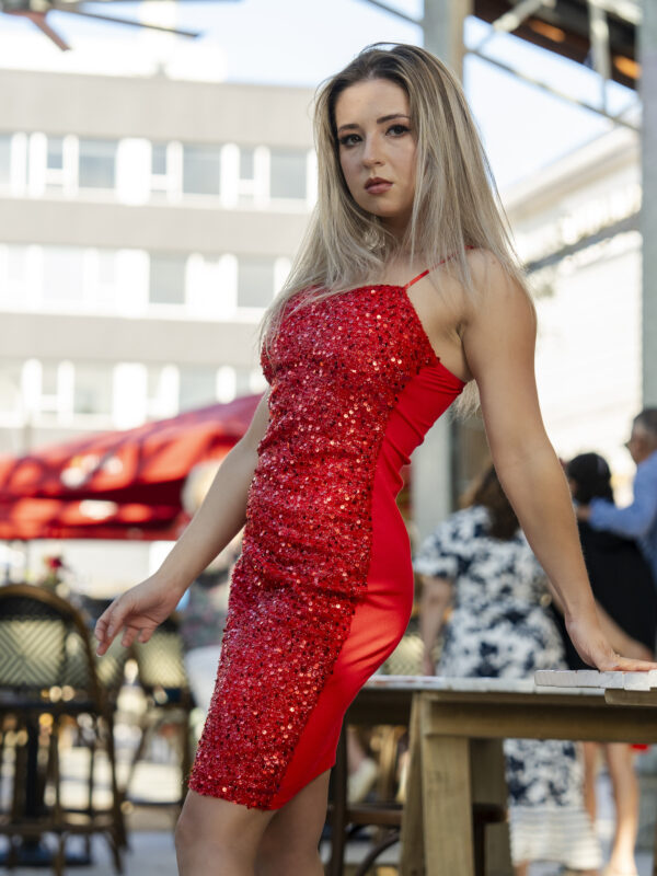 Sequin Star Dress(12)