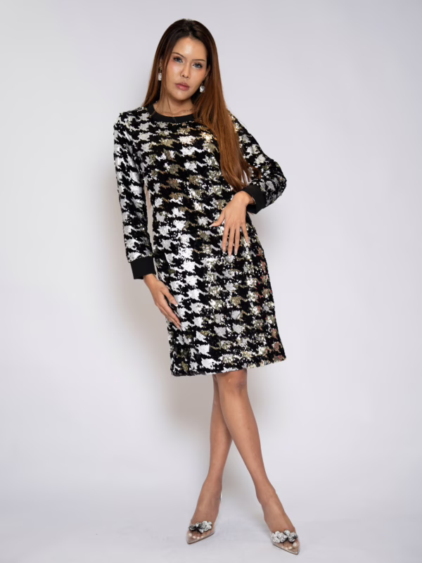 Starlit Hound Dress(2)